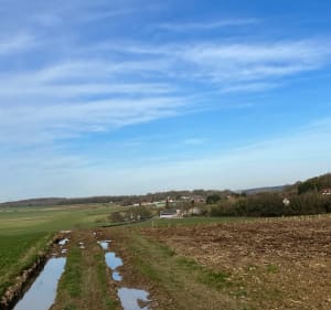 Ballade autour de Beaucourt-sur-l'Hallue - Beaucourt-sur-l'Hallue - 5