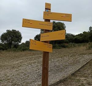 Forêt de Cèdres boucle au départ de Lauris - Lauris - 4