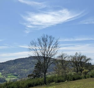 Un lundi de pâques en balade - Vaugneray - 4