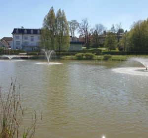 Rendez vous au parc municipal Frédéric Brigidi - Mont-Saint-Martin - 3