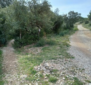 Le Petit Calan - Eygalières - 3