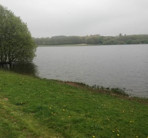 Circuit van het meer van Drennec - Commana - 4