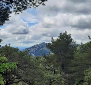 La traversée des Dentelles de Montmirail - Gigondas - 3