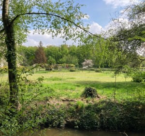 Balade bucolique en forêt de Phalempin - Phalempin - 3