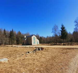 A la rencontre de la Margeride sauvage à Vitrolette - Monts-de-Randon - 4
