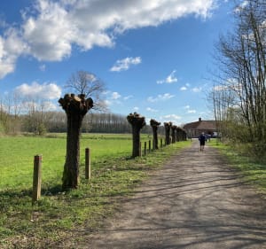 La Traversée de Marchiennes - Marchiennes - 5