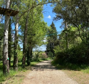 Decathlon BBA gezondheidsroute - Bouc-Bel-Air - 3