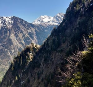 Tourbière de l'Arselle et tourelles de l'Homme - Chamrousse - 5