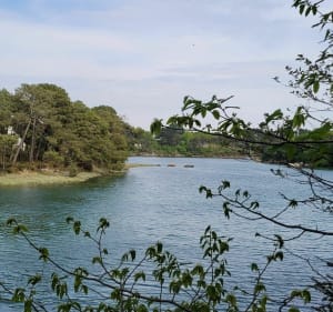 Le rocher magique du Poulguin. - Nevez - 3