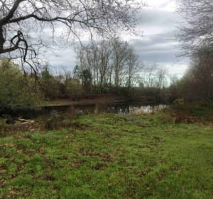 Forêt des Landes et petite bouffée d'oxygène à VTT - Saint-Michel-Escalus - 4