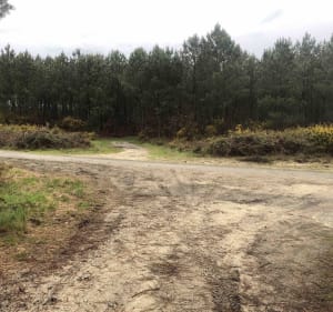 Forêt des Landes et petite bouffée d'oxygène à VTT - Saint-Michel-Escalus - 5