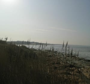 Marcher entre terre et mer à Brétignolles sur mer - Bretignolles-sur-Mer - 4