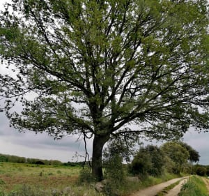 Balade en garrigue - LAETITIA - 3