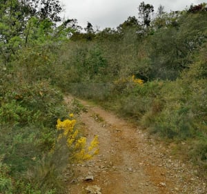 Balade en garrigue - LAETITIA - 4