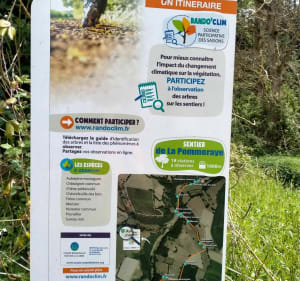 Bord du St Denis, Bois Gelé par Vétillerie - Mauges-sur-Loire - 5