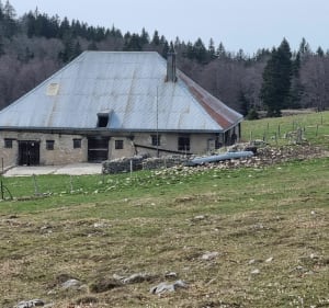 Mont-d'or par les crêtes et plus...à la journée - Métabief - 5