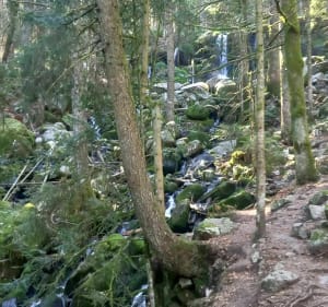 Korte tocht tussen waterval en Mérelle Head - Gerardmer - 3