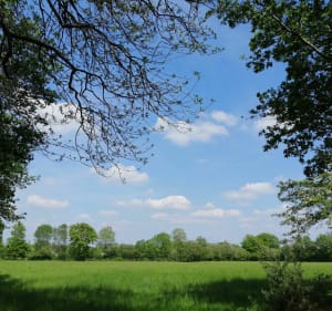 Jonction entre le Moulin au Geay et la Boissière - Aubigny-Les Clouzeaux - 4
