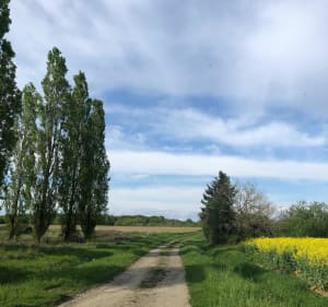 Balade dans les champs de Rouvres les bois - Rouvres-les-Bois - 3