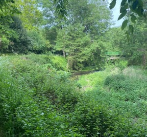 Petite balade au sein du Parc Rivoli - La-Roche-sur-Yon - 3