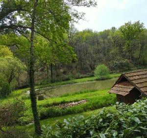 Bon bond dans le passé à VTT par les moulins de l'Enéa - Sarlat-la-Canéda - 4
