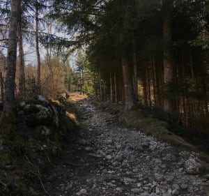 Sur les hauteurs de Villard - Villard-de-Lans - 3