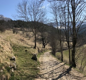 Sur les hauteurs de Villard - Villard-de-Lans - 4