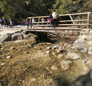 Sur les hauteurs de Villard - Villard-de-Lans - 5
