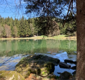 Montée au Lac de Freydières depuis Revel - Revel - 5