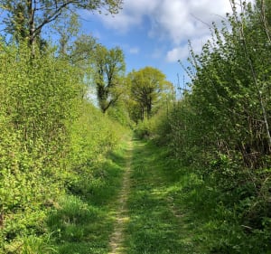 Chemin de la Fache d’Ahant - Felleries - 3