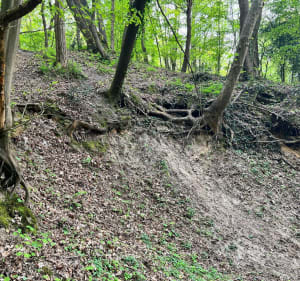 Wandeling langs het Fauvettes-viaduct - Bures-sur-Yvette - 3
