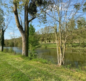 Nogent -Ecluzelles - Nogent-le-Roi - 4
