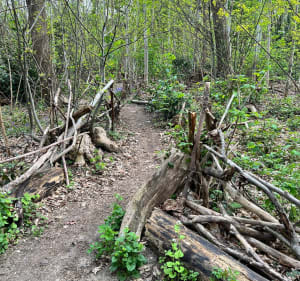 Wandeling langs het Fauvettes-viaduct - Bures-sur-Yvette - 5