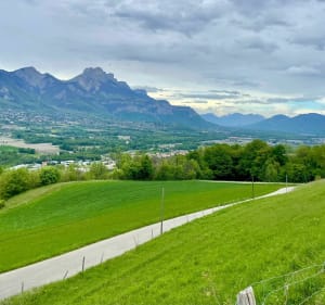 Chêne du Venon et piste VTT forestière - Domène - 5