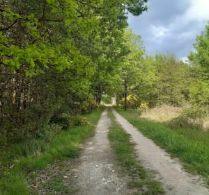 La petite balade du dimanche - Romorantin-Lanthenay - 3