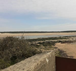 Pointe du Payré-pad - Jard-sur-Mer - 3