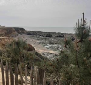 Pointe du Payré-pad - Jard-sur-Mer - 4