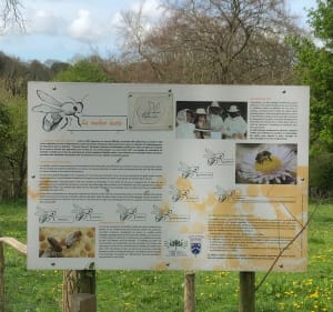Eco-vallée de Crevecoeur-La Glacerie - La Glacerie - 3