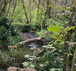 Eco-vallée de Crevecoeur-La Glacerie - La Glacerie - 5