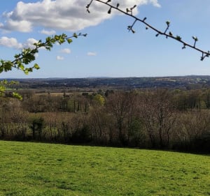 Panorama sur Bricquebec depuis la voie verte - Bricquebec-en-Cotentin - 3