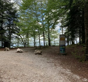 Panoramische wandeling rond het meer van Bonlieu - Bonlieu - 4
