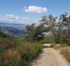 Montvieux Cross Loop - Pélussin - 3