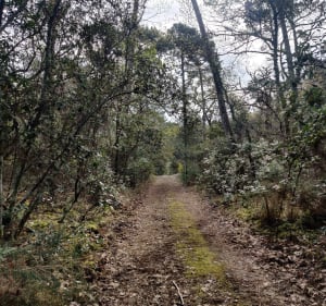 Belle virée Arcachonnaise à vélo - Huttopia - 3
