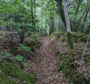 Le Labou - La Roche noire - Pont-de-Buis-lès-Quimerch - 3