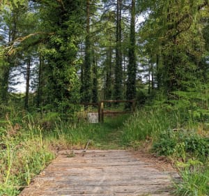 Le Labou - La Roche noire - Pont-de-Buis-lès-Quimerch - 4