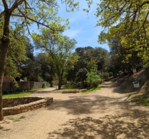 Petite excursion en famille dans la forêt de Janas - La Seyne-sur-Mer - 3