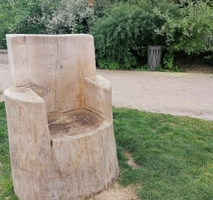 Balade découverte autour de l'étang du boulard... - FANNY - 5