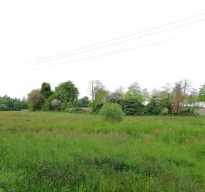 Promenade au cœur de la Boissière des Landes - La Boissière-des-Landes - 4