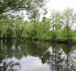 Promenade au cœur de la Boissière des Landes - La Boissière-des-Landes - 5