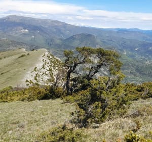 Très belle randonnée au Mont Cougoir - Teyssiéres - 4